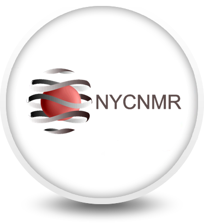 New York Center for Nanomedicine Research
